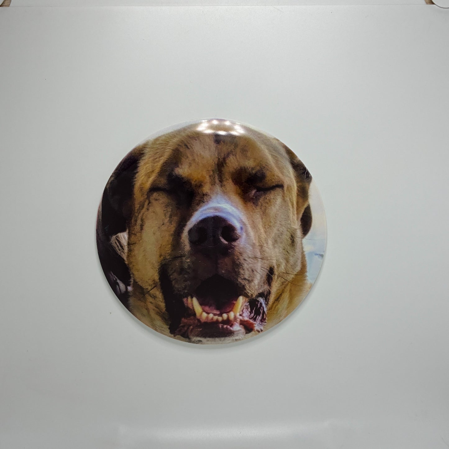 Dynamic Discs Mystery Misprint DyeMax Junior - Accessories